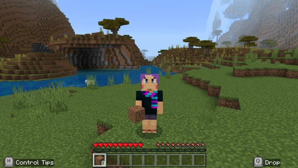 Cómo Configurar Un Servidor De Minecraft: Java Edition 3 minecraft java